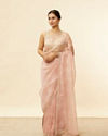 Rosewater Pink Stone Work Floral Patterned Saree